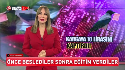 Beyaz Ana Haber 29 Ekim 2025