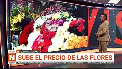 OFERTA DE FLORES PARA TODOS SANTOS