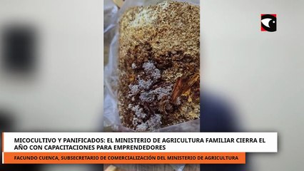 Micocultivo y panificados el Ministerio de Agricultura Familiar cierra el año con capacitaciones