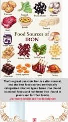 Excellent Food Sources of Iron