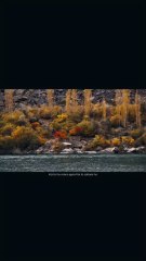 Koi toh ho mera apna koi toh Sahara ho  #sad