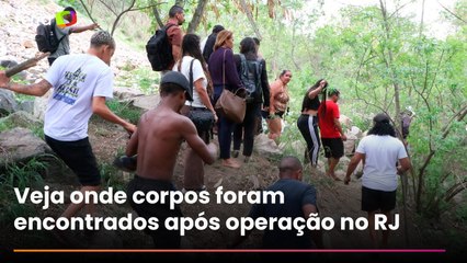 Veja o local onde dezenas de corpos foram encontrados após a megaoperação da polícia no RJ