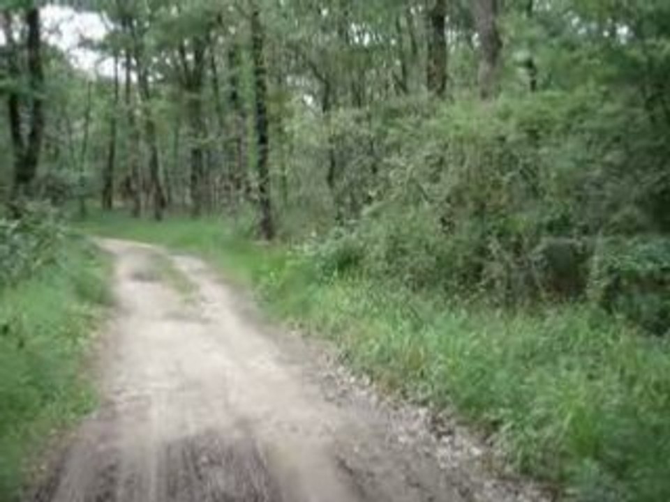 Vidéo Alf le 22 05 2008