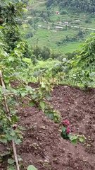 Morning Vibes in Nepali Village ☀️ | Nature’s Sound & Pure Life | Samundra Travels