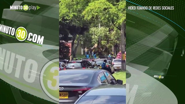 ¡Véalos pues! Estos gamines, dizque taxistas dañando arbolitos para tapar algunas vías en Medellín