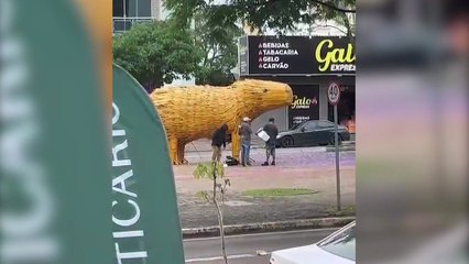 Capivara de bambu vira armário de moradores de rua no Centro de Cascavel