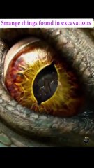 Strange things found in excavations#viral #creatorsearchinsight #fyp #animals .