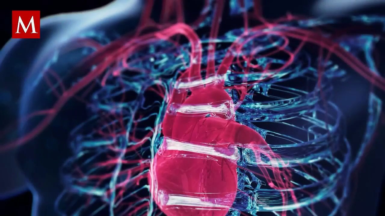 Estos son los síntomas que te indican si podrías sufrir un infarto al miocardio