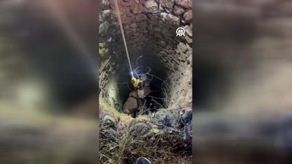 İtfaiye, AFAD ve İl Özel İdaresi ekipleri seferber oldu! Su kuyusuna düşen inek kurtarıldı
