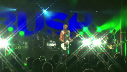 The Chemicals Between Us - Bush (live)