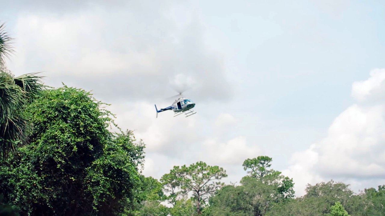 Thermal Buzz Movie
