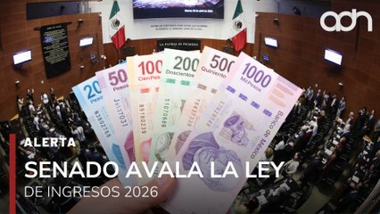 🚨¡Última Hora! Senadores avalan la Ley de Ingresos 2026