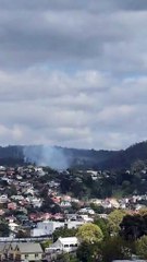 Smoke visible in Launceston from Cataract Gorge fire