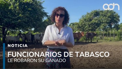 Fueron despojados de su ganado por funcionarios públicos de Tabasco y hoy buscan justicia