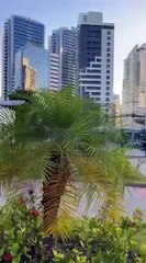 BNews Outubro Rosa: Mulheres participam de mutirão para mamografia na Casa da Mulher Brasileira