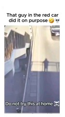 Trying to survive 😂