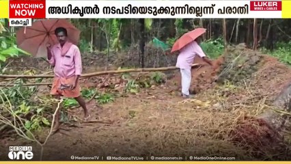 എറണാകുളം പുന്നേക്കാട് ജനവാസ മേഖലയില്‍ കാട്ടാനയിറങ്ങുന്നത് പതിവായതോടെ ദുരിതത്തിലായി നാട്ടുകാര്‍