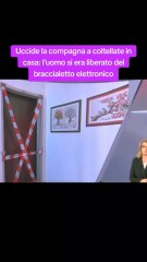 Uccide la compagna a coltellate in casa: l'uomo si era liberato del braccialetto elettronico