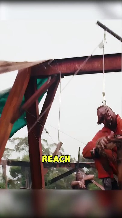 How I Turned Zombies Into My Personal Labor Force! #shortmovie #movierecap