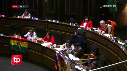 “No ha sido un golpe de Estado”: Comisión del Senado concluye investigación sobre la toma militar de 2024