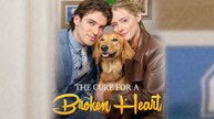 The Cure For A Broken Heart English Sub