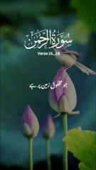 surah Al Rehman || 1 million followers #islamicknowledge #ajmalrazaqadri #molanatariqjameel #jashaneidmiladnabi #unfrezzmyaccount #quran #madina #trending #islamic #islam #muslim #viral #1millionviews #capcut