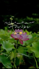 Islamic knowledge || 1 million followers #islamicknowledge #ajmalrazaqadri #molanatariqjameel #jashaneidmiladnabi #unfrezzmyaccount #quran #madina #trending #islamic #islam #muslim #viral #1millionviews #capcut