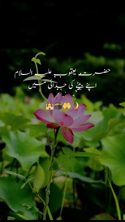 Islamic knowledge || 1 million followers #islamicknowledge #ajmalrazaqadri #molanatariqjameel #jashaneidmiladnabi #unfrezzmyaccount #quran #madina #trending #islamic #islam #muslim #viral #1millionviews #capcut