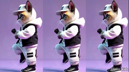 Funny dancing cat Bangun Tidur - Dancing cat - Cute cat - Funny Cat - HANA KIDS