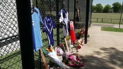 17-year-old boy dies after being hit in the neck by a cricket ball while training