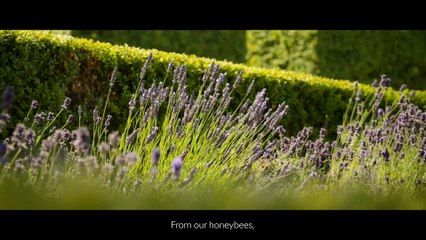 Rolls-Royce | Chapter III: Love Letters to Goodwood #Rolls-Royce