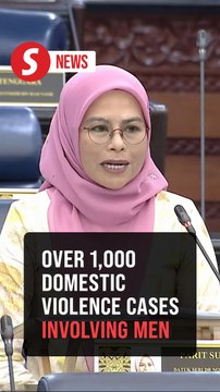 Over 1,000 domestic violence cases involving men reported in 4 years, says Noraini