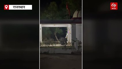 सिरोही: आबूरोड सदर थाने में घुसा भालू, मंदिर से प्रसाद खाकर लौटा जंगल