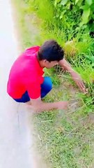 “বাবা তোমার জন্য সুখের খবরে ভরা – আর কষ্ট নেই!”🤣