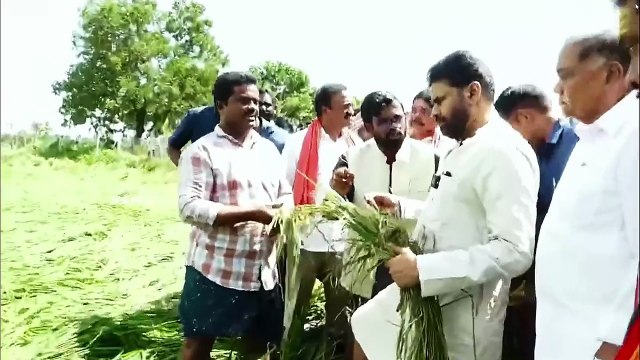 Deputy CM Pawan Kalyan Inspects Crop Fields Damaged by Cyclone Effect
