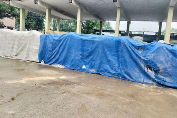 मण्डी में बरसात से बचाने के लिए तिरपालों से ढंकनी पड़ी जिंस