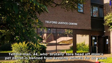 Shropshire Star Morning Update: Key News Highlights for October 30, 2025 📰