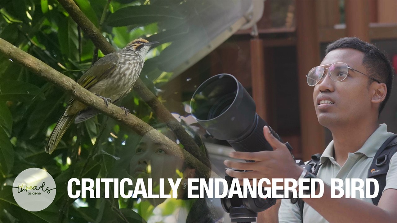 Living alongside wildlife | A Wilder Tomorrow