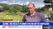Jasmin: une mauvaise récolte à cause de la météo
