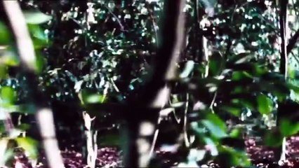 Alone In The Dark 2⚡💀Le mal est de retour👀Action⚡Horreur👤Film complet