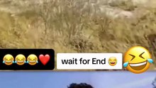 Dimag wala ise kahate Hain