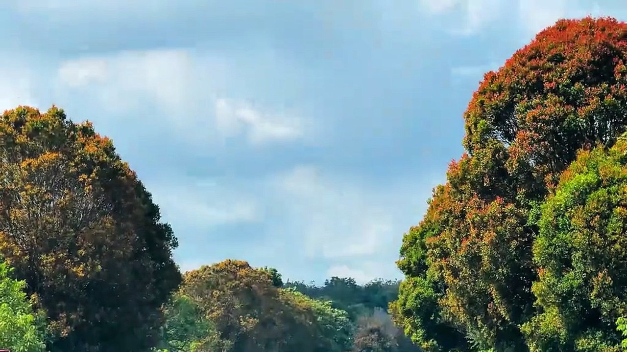 1000016062