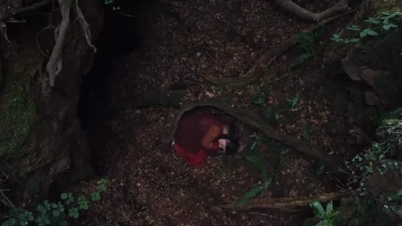 Hamnet Bande-annonce VO STFR