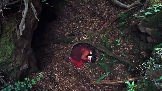 Hamnet Bande-annonce VF