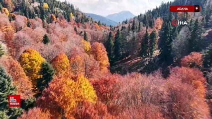 Adana'da sonbahar güzelliği: Adeta doğa sanata dönüştü