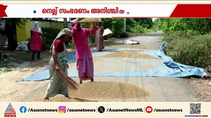 നെല്ല് സംഭരണം അനിശ്ചിതത്വത്തിൽ; ഈ കൊയ്തുകാലത്തും കർഷകർ പ്രതിസന്ധിയിൽ