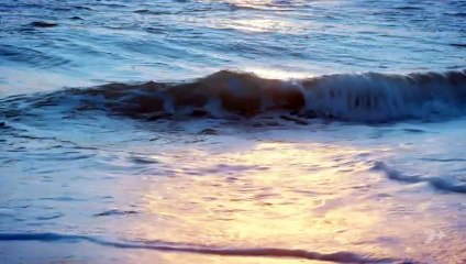 Home and Away Episode 8616 | Watch the Latest Drama from October 30, 2025