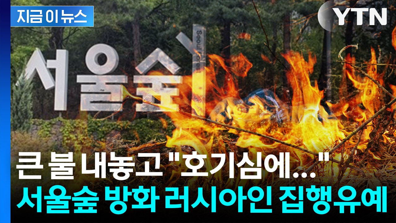 서울숲 대형 화재 부를 뻔한 방화... 러시아 관광객 '집행유예 선고' [지금이뉴스]...