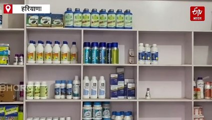 भिवानी में खाद की कालाबाजारी! सीएम फ्लाइंग टीम ने की छापेमारी, डीएपी और यूरिया के सैकड़ों कटे गायब, महंगे दामों में बेची जा रही थी सब्सिडी वाली खाद