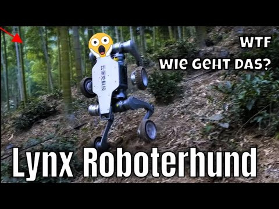 DEEPRobotics Lynx All-Terrain Roboterhund: Auf Rädern für jede Herausforderung | die Fakten